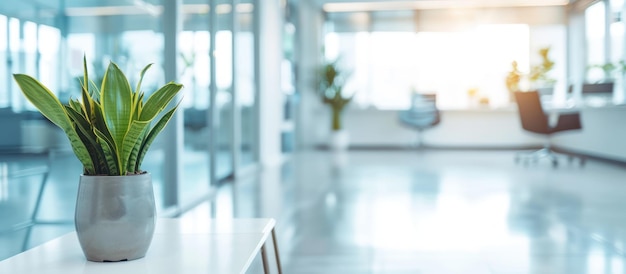 Beautiful defocused office background