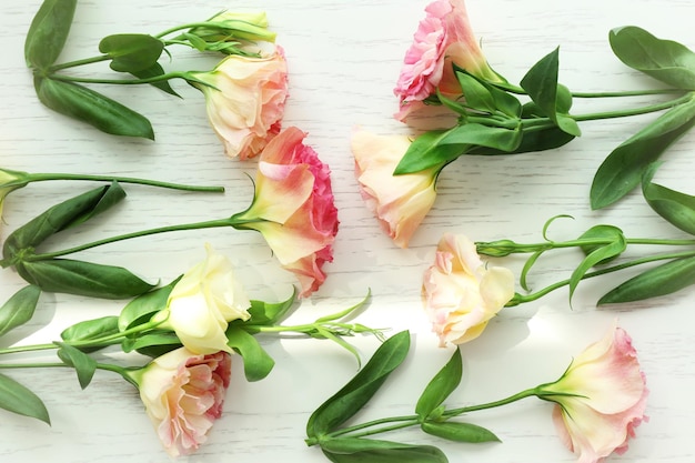 Beautiful delicate flowers background