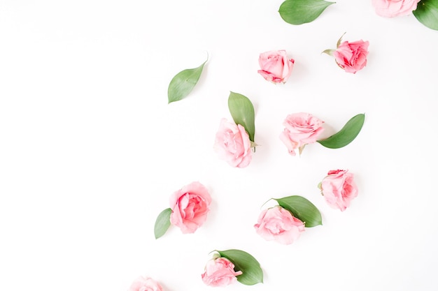 Beautiful delicate roses buds isolated