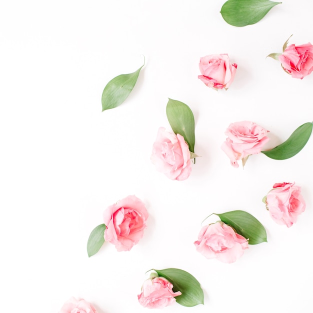 Beautiful delicate roses buds isolated