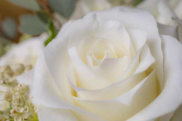 美しい細な白い花束