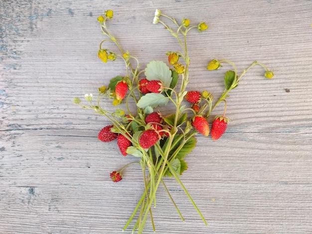 beautiful delicious juicy ripe berries strawberries on twigs on a table wooden