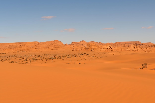 Beautiful desert background