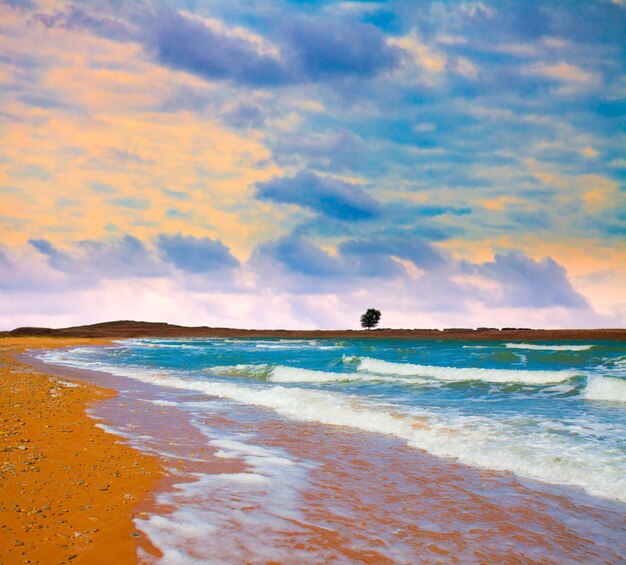 Beautiful desert beach at sunset with dramatic sky