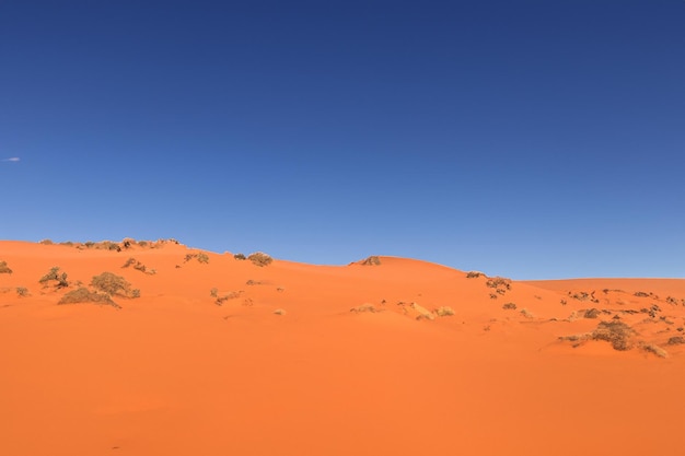 Beautiful desert landscape background