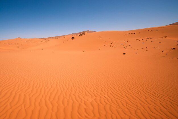 Beautiful desert landscape background