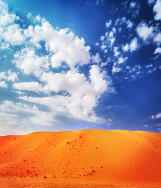 Beautiful desert landscape bright orange sandy dune over blue cloudy background beauty of wild area abu dhabi liwa uae middle east