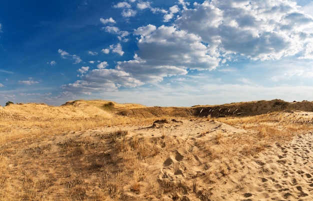 砂丘のある美しい砂漠の風景 晴れた日に砂の上を歩く
