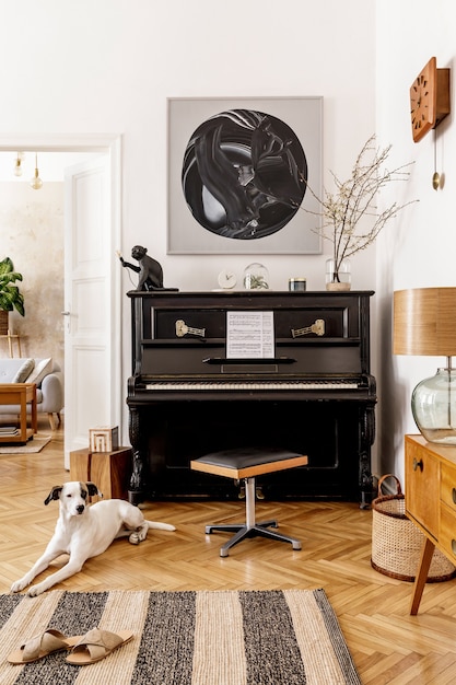 Красивая собака, лежа на ковре. Стильный и ретро-интерьер гостиной с черным роялем, мебелью, макетами картин, растениями, украшениями и элегантными аксессуарами в современном домашнем декоре.