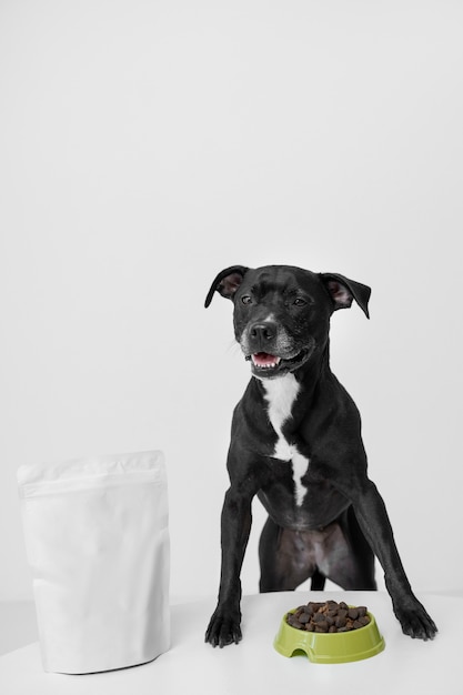 Photo beautiful dog with nutritious food