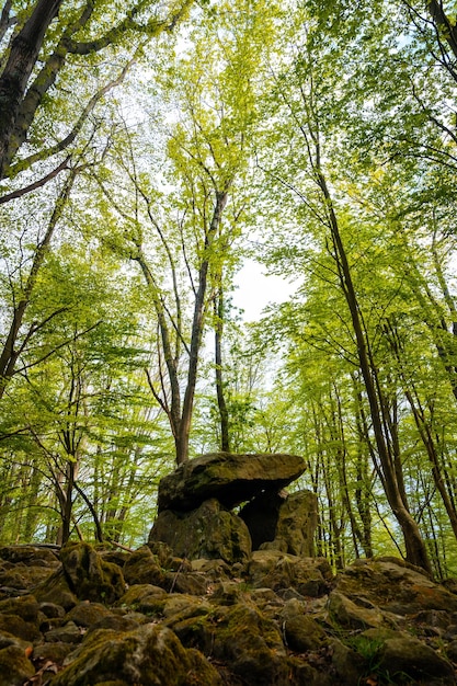 Beautiful Dolmen Aitzetako Txabala in the Basque Country in spring Errenteria Gipuzkoa