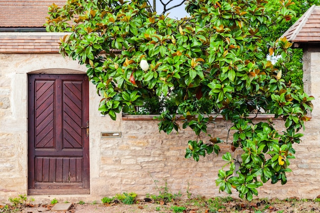 Bella porta nella vecchia casa di mattoni