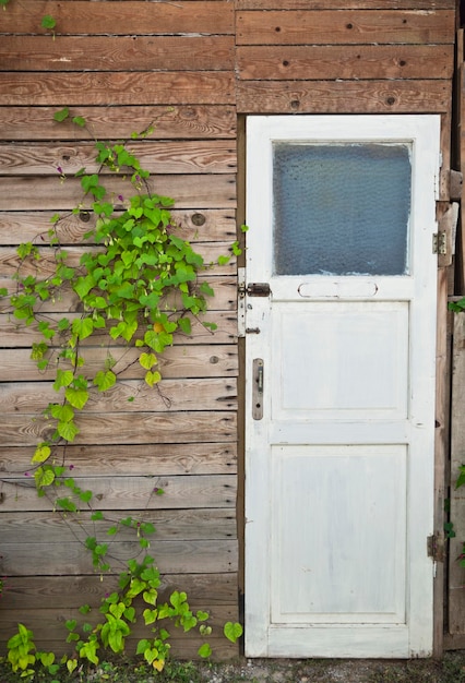 Beautiful Door