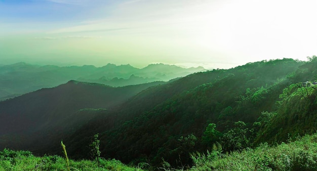 丘の上をトレッキングする緑の森の自然の背景の冒険に覆われた岩山の頂上からの美しい劇的な夕焼け空の雲