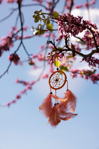 Photo beautiful dream catcher outdoors