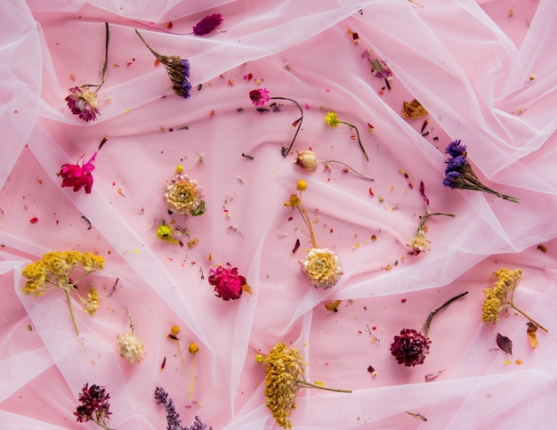 Beautiful dry flowers on purple tulle. Natural light