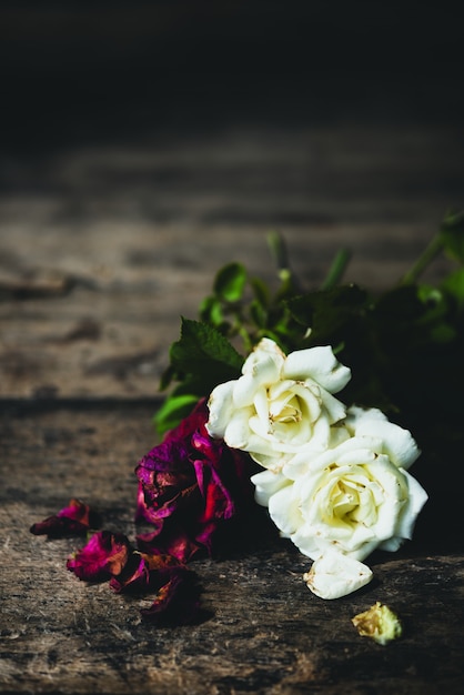 Beautiful dry red and white roses on grunge wooden background