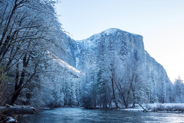 Photo beautiful early spring landscapes in yosemite national park, yosemite, usa