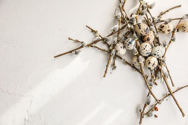 The beautiful easter composition of the willow branches and quail eggs on the gray background with the copy space for your text