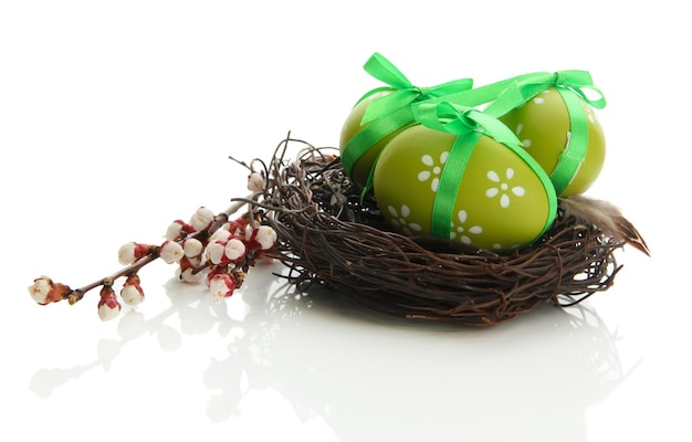 Beautiful easter eggs in nest and apricot blossom isolated on white