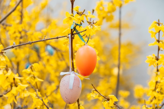 写真 花の咲く木に美しいイースターエッグ