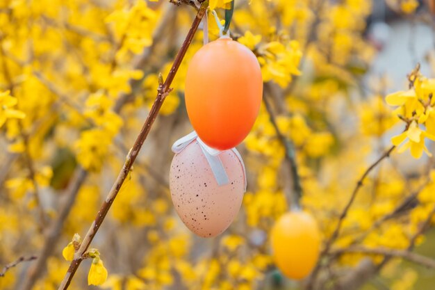 写真 花の咲く木に美しいイースターエッグ