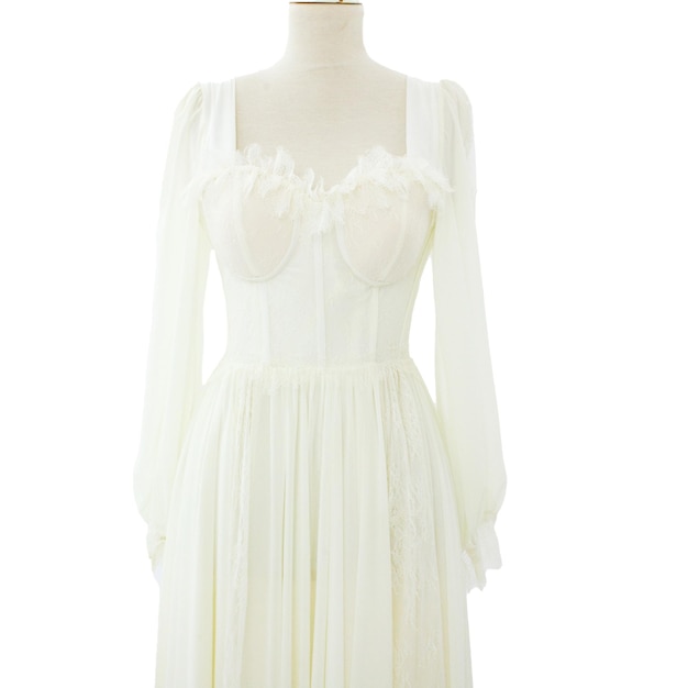 흰색 바탕에 아름답고 우아한 이브닝 여성 드레스