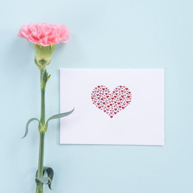 Photo beautiful elegant pink carnation flower over bright light blue table background concept of mother's day flower gift top view flat lay overhead