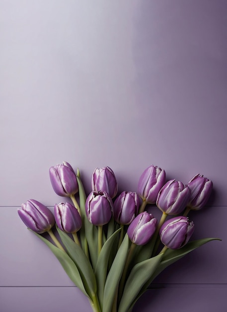 Beautiful elegant purple tulip flowers on pastel background with copy space