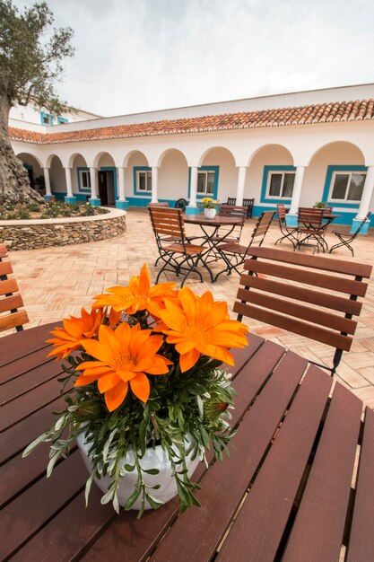 Photo beautiful estate villa located in the alentejo region