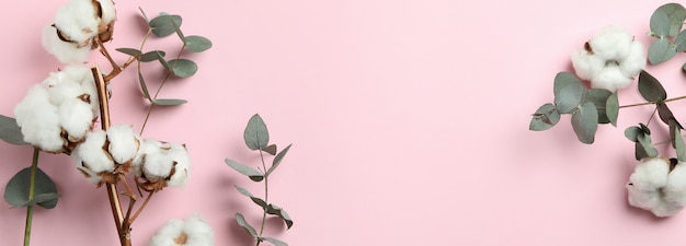 분홍색 배경에 아름다운 유칼립투스와 목화