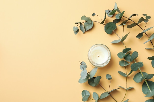 Beautiful eucalyptus and candle on beige background