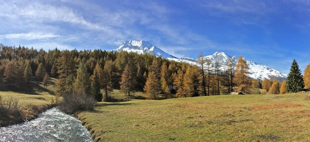 Beautiful european alpine mountain with snowy peak and river in panoramic view