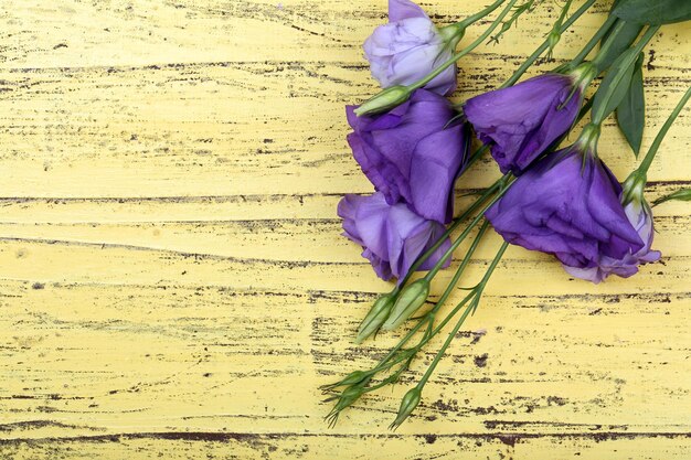 Beautiful eustoma on wooden background