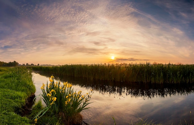 Foto bellissimo paesaggio serale con fiume e fiori