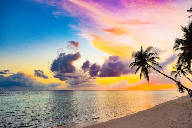 Beautiful evening sunset on the coast of the island maldives