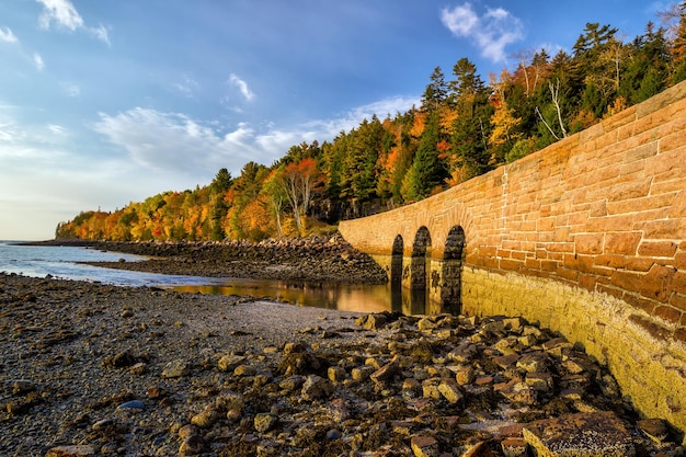 Beautiful fall colors of Acadia National Park in Maine