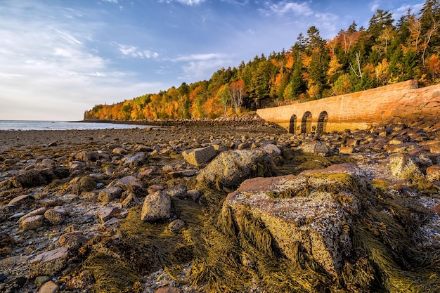 Beautiful fall colors of Acadia National Park in Maine