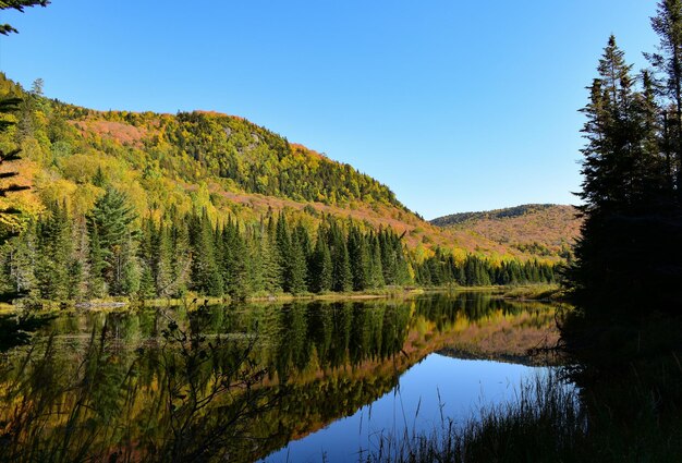 Photo a beautiful fall landscape