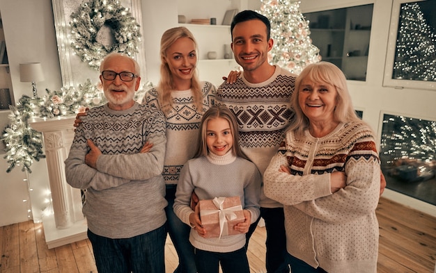 The beautiful family standing near the christmas tree