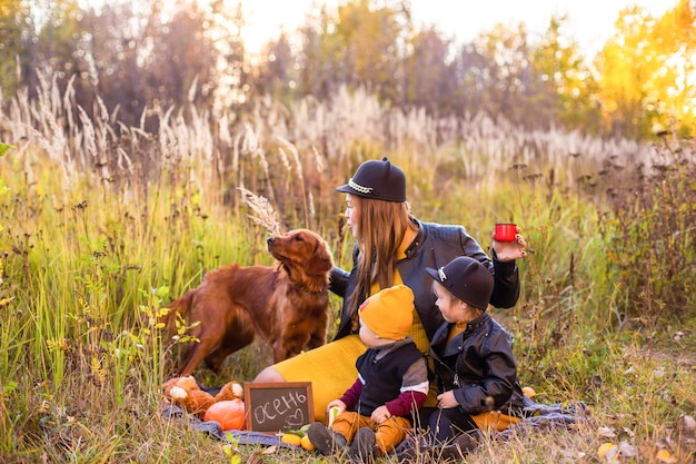 写真 秋の日当たりの良い自然の中を散歩しているゴールデンレトリバー犬と美しい家族