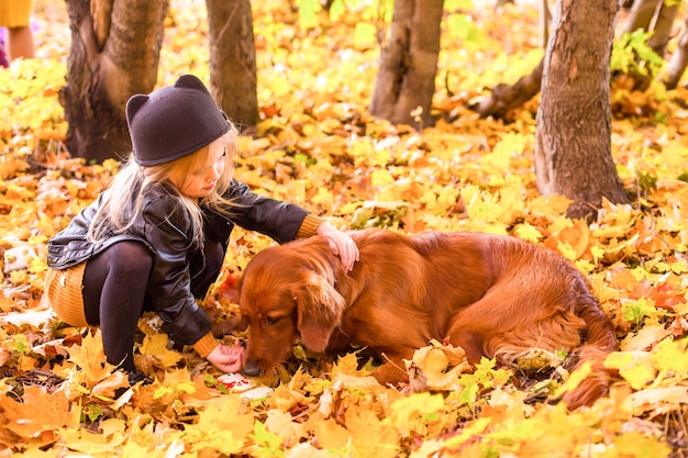 秋の日当たりの良い自然の中を散歩しているゴールデンレトリバー犬と美しい家族