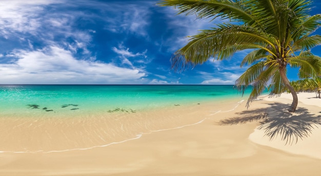 Foto bellissima spiaggia fantastica in una giornata estiva