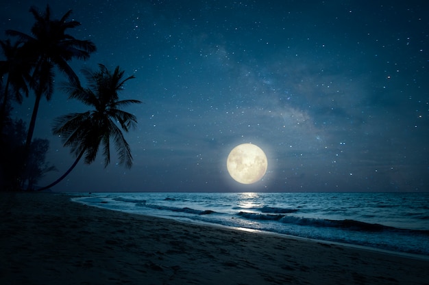 Beautiful fantasy of landscape tropical beach with silhouette palm tree in night skies and full moon