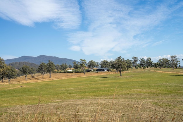 beautiful farming landscape in australia in summer