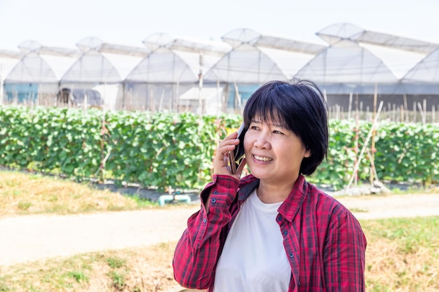 Beautiful female farmer holding smart phone and checking the quality of an organic melon that grown in the garden hydroponic system and information on the mobile phone in hand