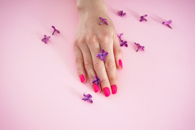 Beautiful female hand and lilac flowers close-up on a pink background. Beauty and skin care concept. Beautiful manicure