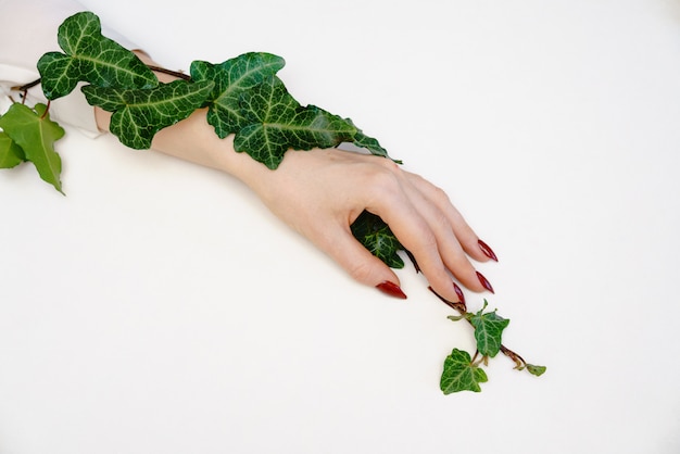 Beautiful female hand lying on white background 