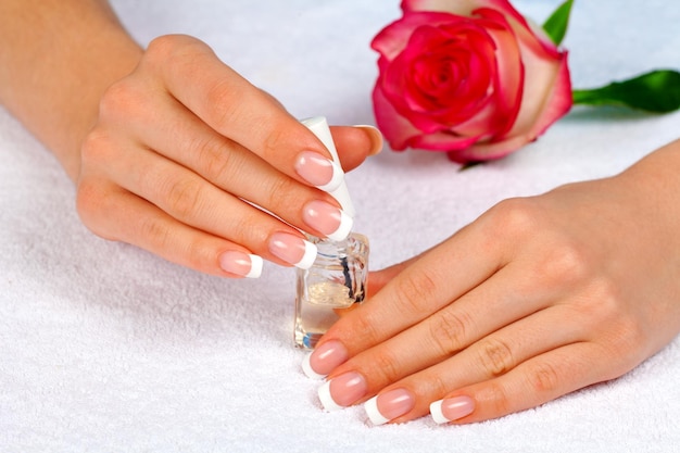 Beautiful female hands with french manicure