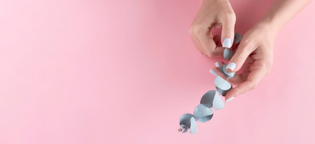 Beautiful female hands with manicure hold a branch of eucalyptus on a pink background, top view, banner.